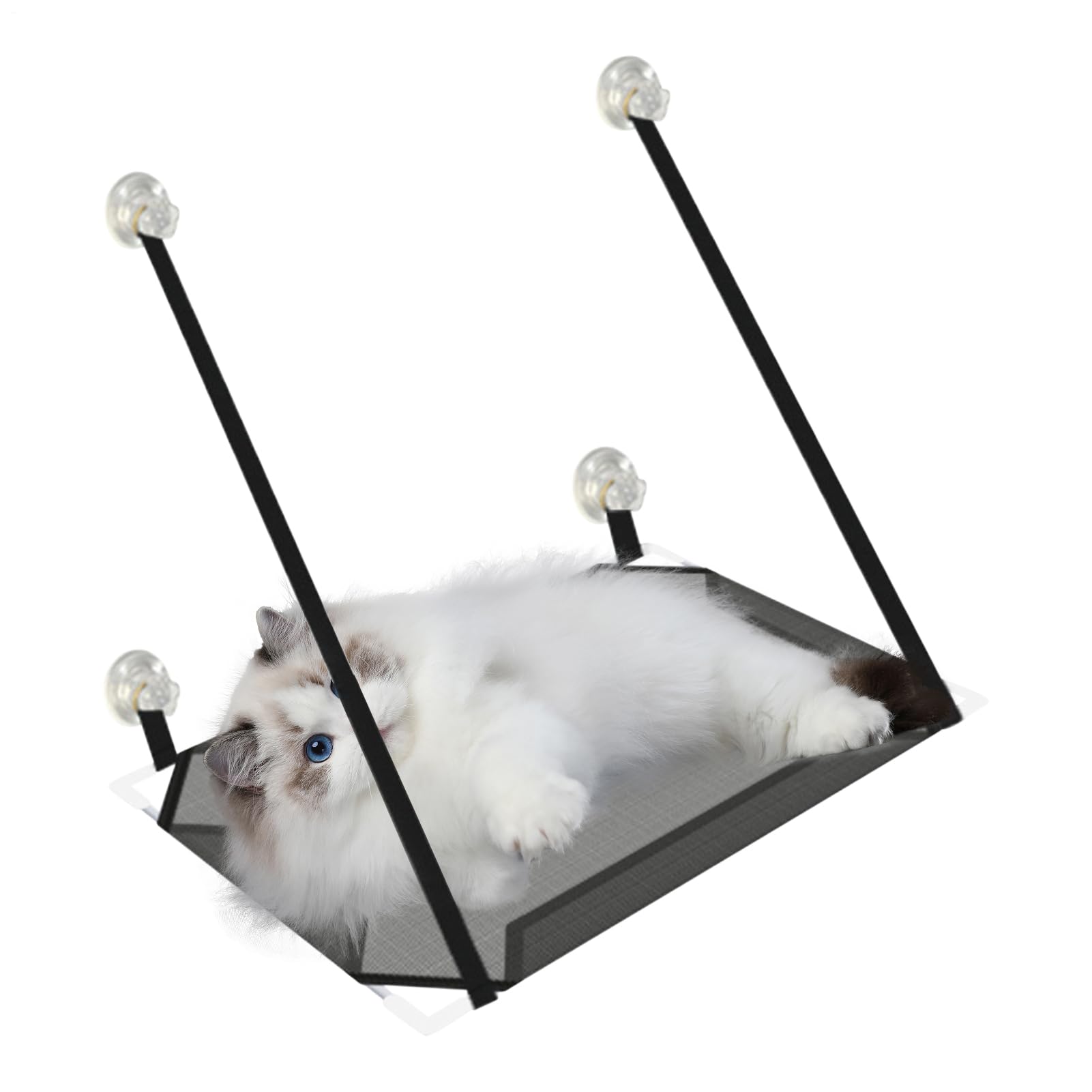 Percha con ventosas para gatos en ventana disfrutando del sol en el balcón o dormitorio