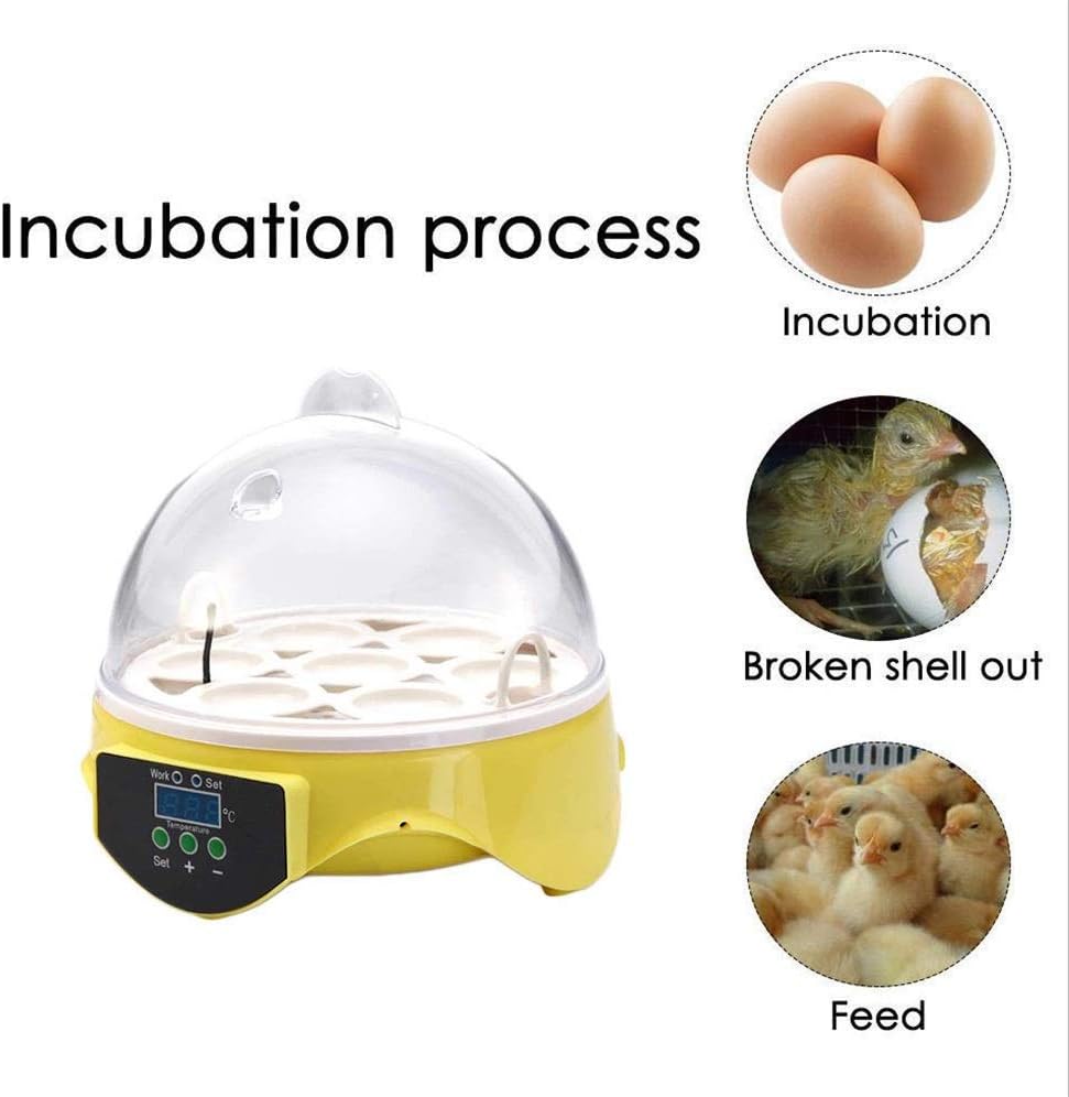 Egg Incubator Mini Automatic Poultry Hatching Machine Intelligent Temperature Control for Chicken Duck Goose Birds 7 Egg (220V)