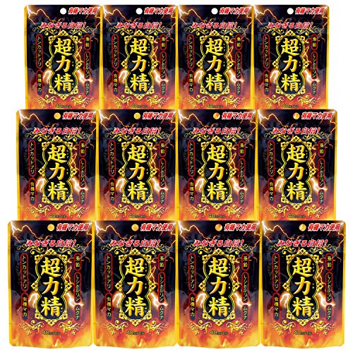 ���E�L���� SP ���͐� 12�Z�b�g 240���� 40�J�v�Z�� �T�v�� �L�@�}�J ���� �V�g������ �g���J�b�g�A�� ���N�i