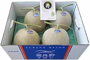 Amazon.co.jp: 北海道 メロン 富良野メロン 8kg 4玉入 1箱(1