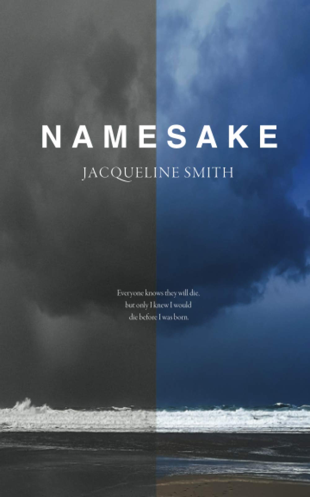 Wild Goose-Media Ltd NAMESAKE 2020