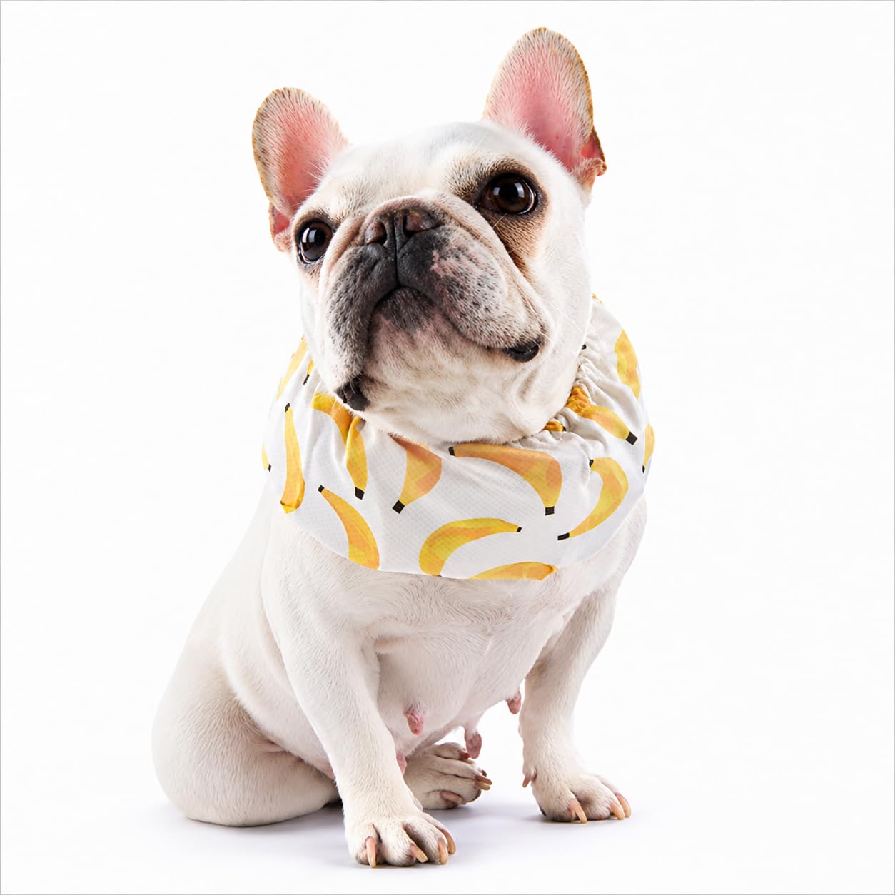 Amazon | PP&DD クールバンド 犬 保冷剤付き 夏に涼しいクールバンダナ