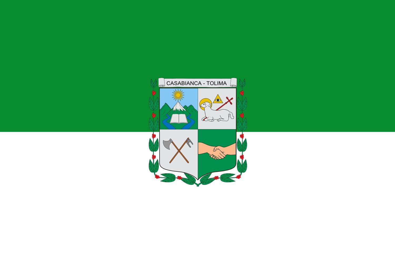 Drapeau Large Casabianca Tolima pavillon officiel en tissu résistant