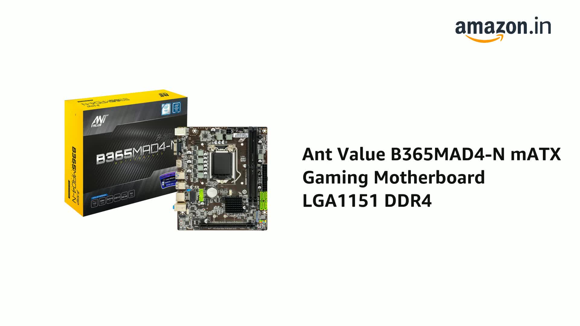Amazon.in: Buy Ant Value B365MAD4-N mATX Gaming Motherboard