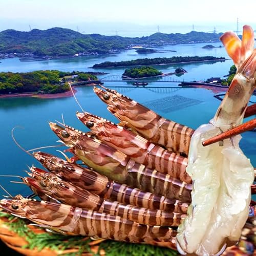 ԊCV y2Lz250gi6`7j܂ F{VY N}Gr ۘa Ԃ  {B꒼ hg s`s`VN