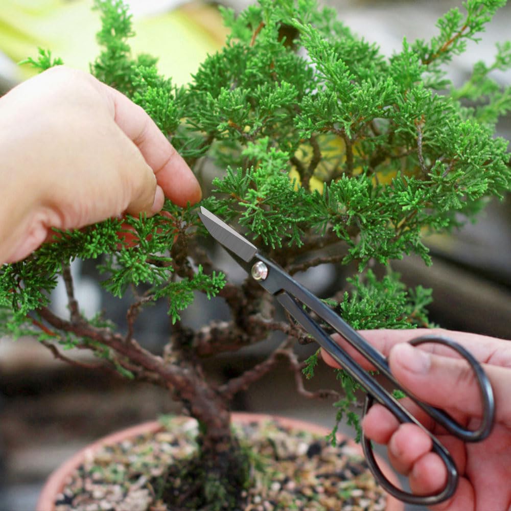 MOSFiATA Kit Bonsai, Herramientas Bonsai Incluyen Tijeras Bonsai, Alambre Bonsai, Guante jardín, Mini Rastrillo, Pala y Tijeras de Podar para Jardineria Casera y Plantas de Balcón, 19 Pcs