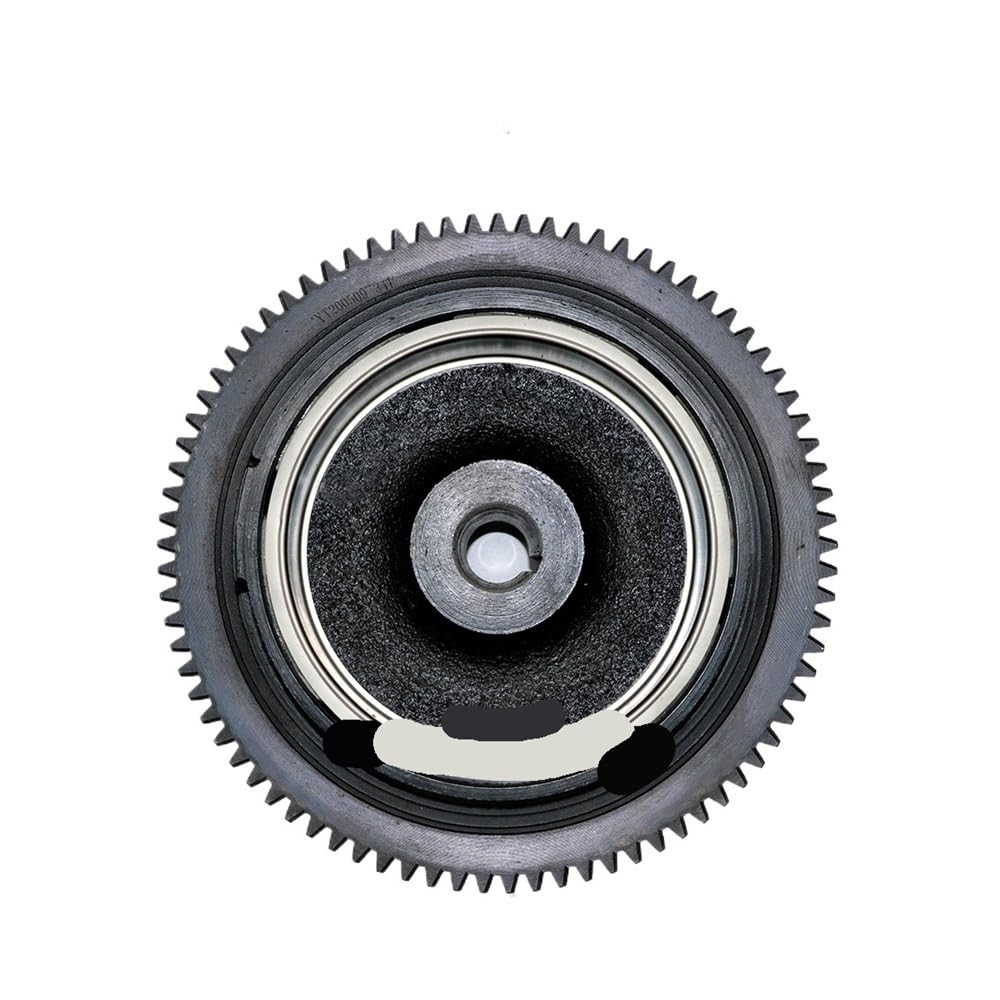 Volant moteur pour hors-bord F15 4 temps idéal pour vos sorties en mer 66M-85550
