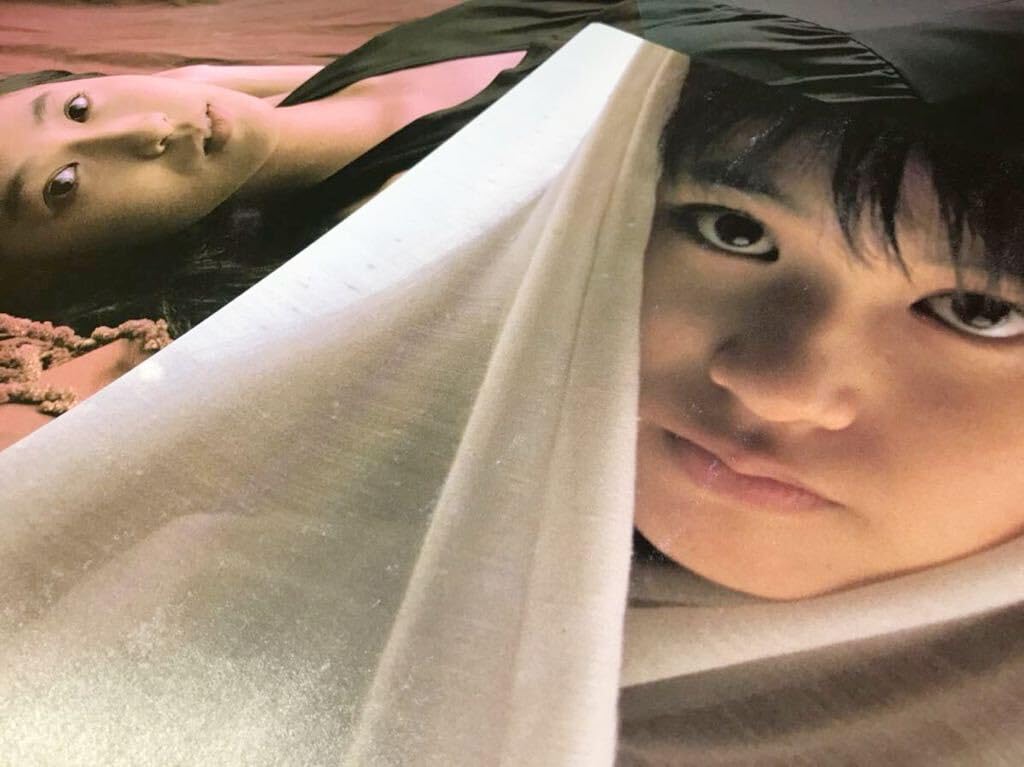 Amazon.co.jp: 小川範子○切り抜き○アイドル 女優 グラビア P17