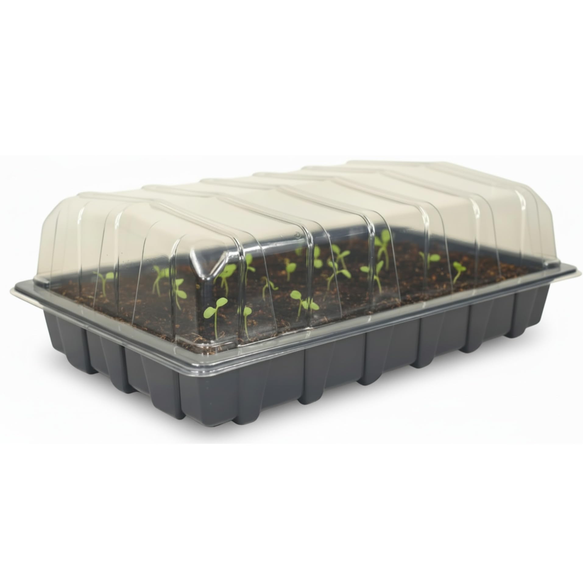Nutley's Black Nutley’s 3 X Clear Plastic Full Size Seed Propagator Lids And Seed Trays Without Holes, British Made