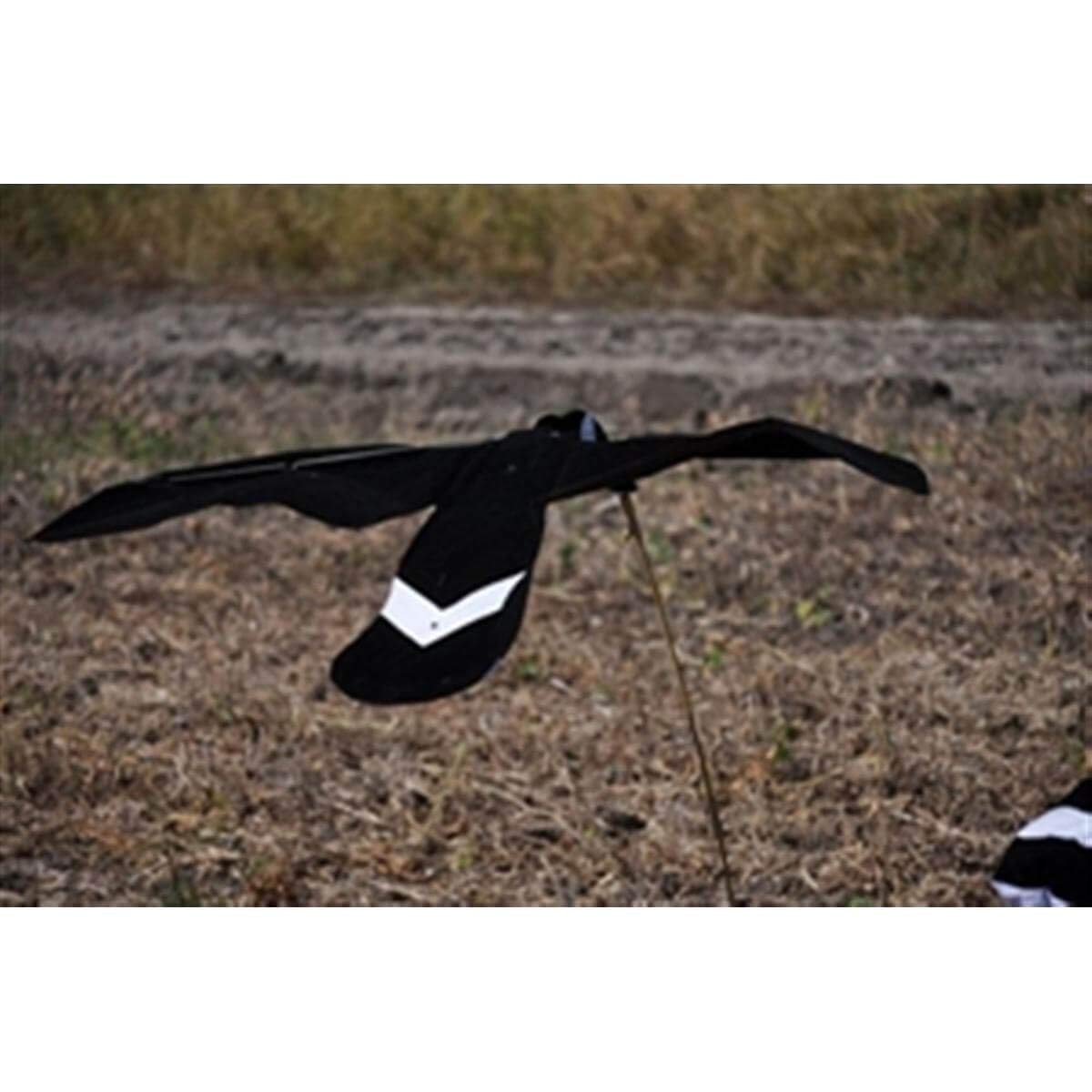 Wingbeat Canada Goose Power Flapper