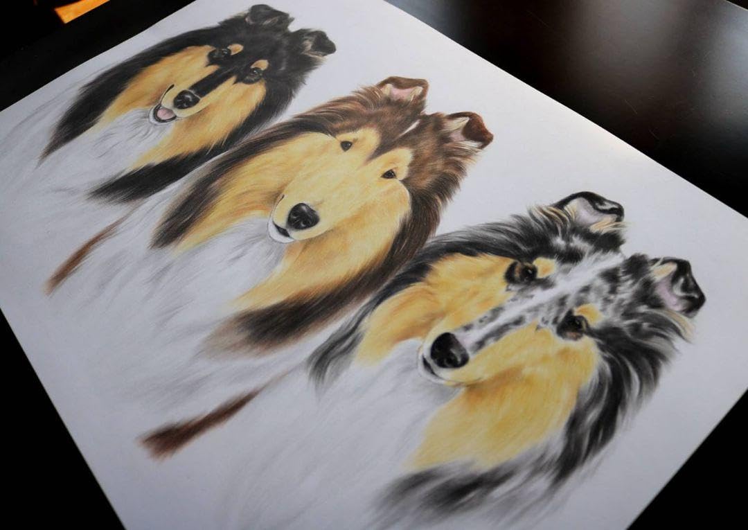 Amazon.co.jp: 犬の絵 ラフコリー 色鉛筆画 原画 : 文房具・オフィス用品