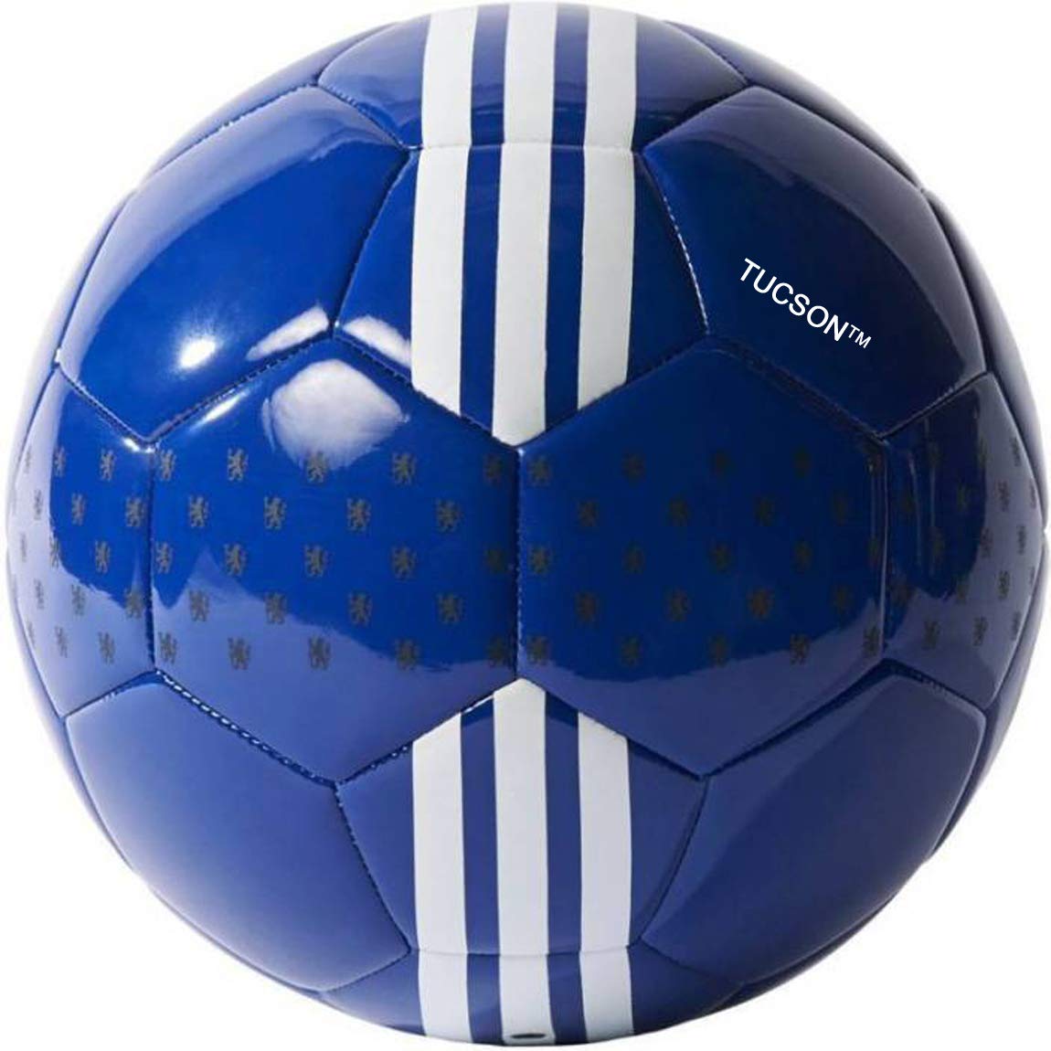 Tucson PVC Hand Sewn Football (Size_5_Blue & White) Pack of 1 (B07N1QF6HK) Amazon Price History, Amazon Price Tracker