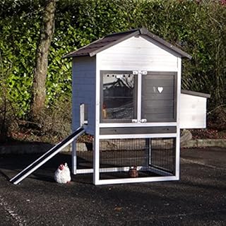 Poulailler Autorise En Ville Tedocinfo Diverses Collections D