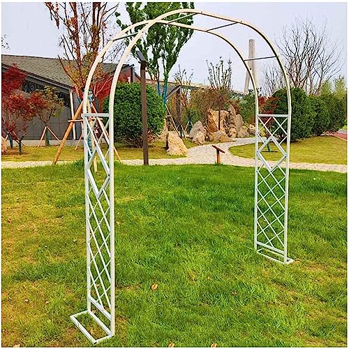 Support de plante grimpante en métal arche blanche pour tuteurer grand rosier - 2