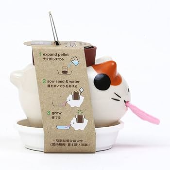 Amazon｜聖新陶芸 家庭菜園 簡単 栽培キット ワイルドストロベリー