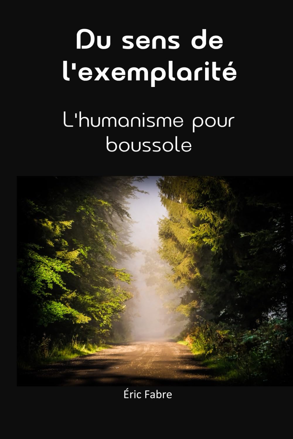 Du sens de l'exemplarité: L'humanisme pour boussole (Enquête de sens)
