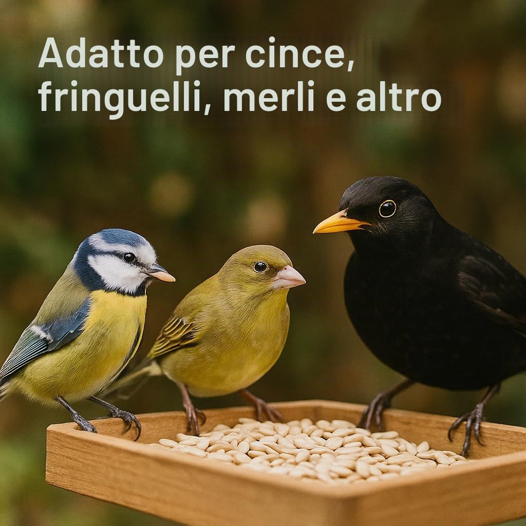 GiDeli Mangime per uccelli, semi di girasole, pelati, 30 kg, colore naturale, alimentazione per uccelli