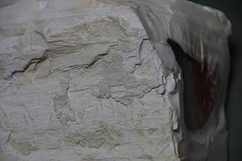 Amazon.co.jp: 珪化木瑪瑙化木化石2.4kg忍耐継続と平常心の