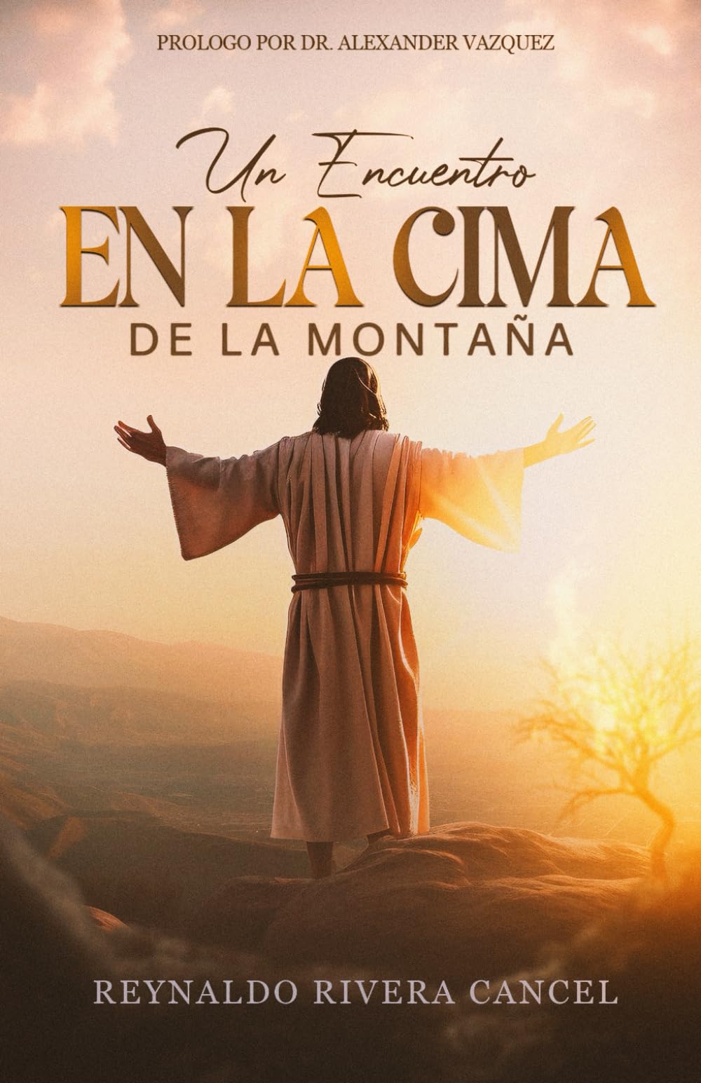 Un encuentro en la cima de la montaña (Spanish Edition)