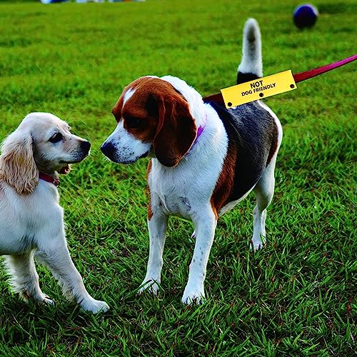 The Perfect Gift: Funny Dog Leash Sleeve to Showcase Your Pet