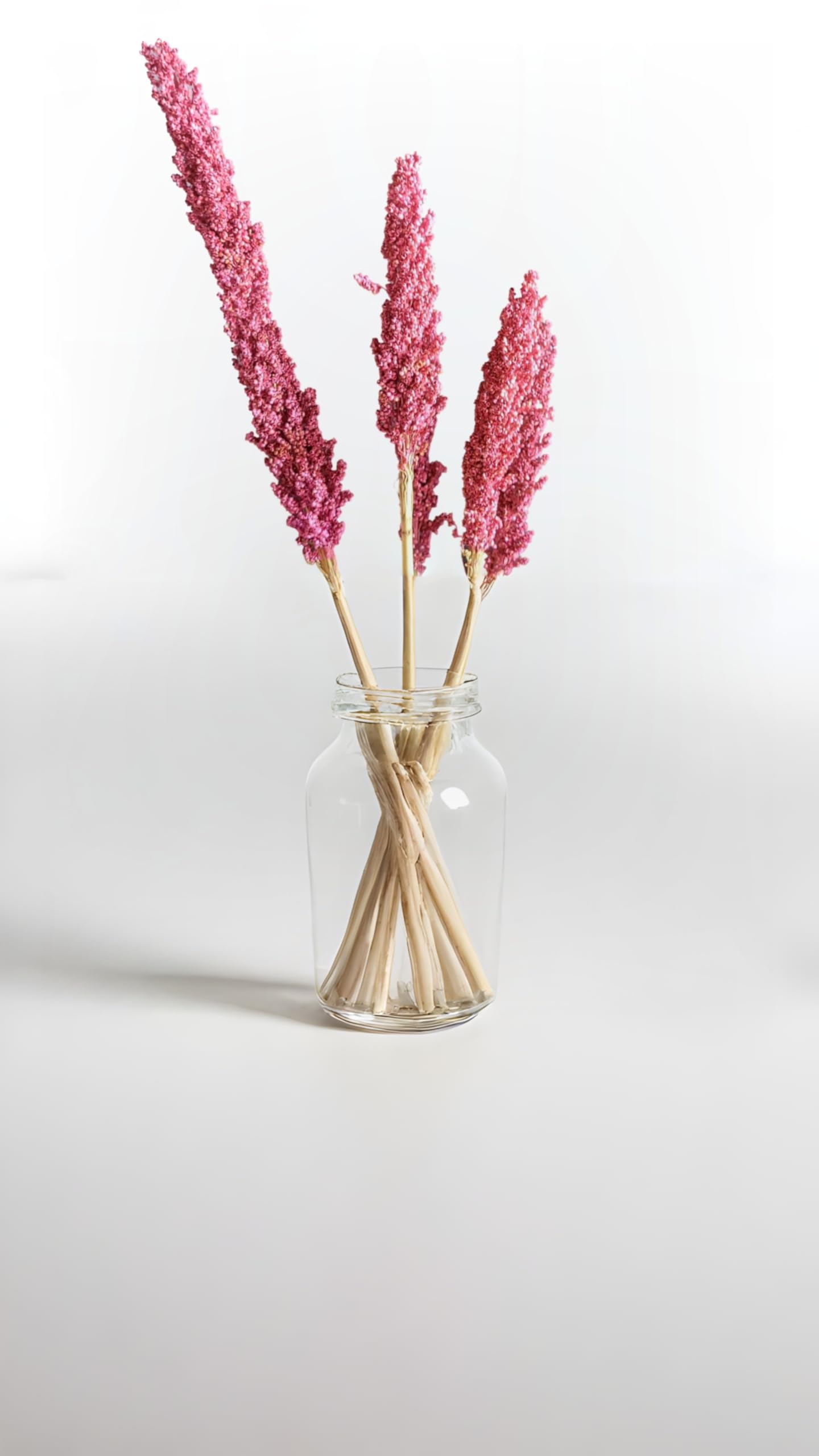 RUKDA® Dried Pink Sorghum Flower Sheaves - Dry Grass Bouquet for Wedding Table Centerpieces, Home, Office Decoration - 2 Pcs 3