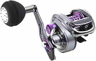 Abu Garcia Salty Stage BV8 ベイトリール Amazon | アブガルシア ベイトリール SaltyStage BV8 | Abu