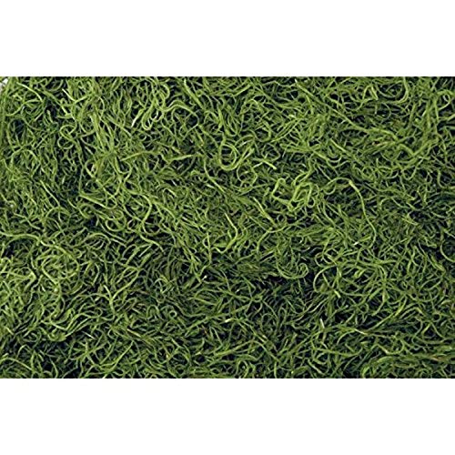 Shinoda Design Center 1 lb Bag Preserved & Dyed Green Spanish Moss