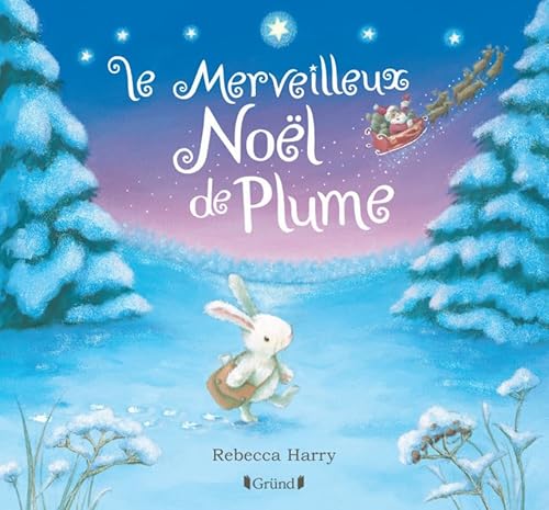 Le merveilleux Noël de Plume – Album jeunesse avec effet argenté – À partir de 3 ans