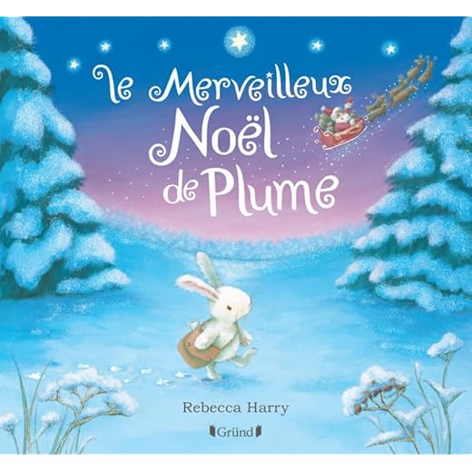 Le merveilleux Noël de Plume