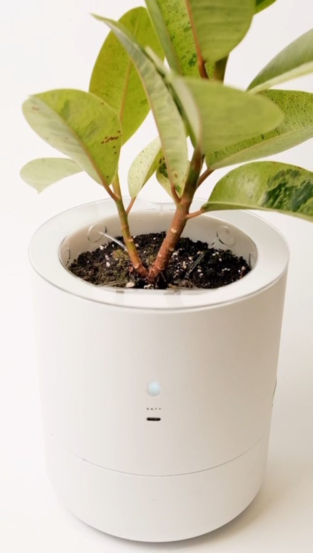 Amazon.com : LeafyPod 8 Inch Smart Self Watering Planter with WiFi