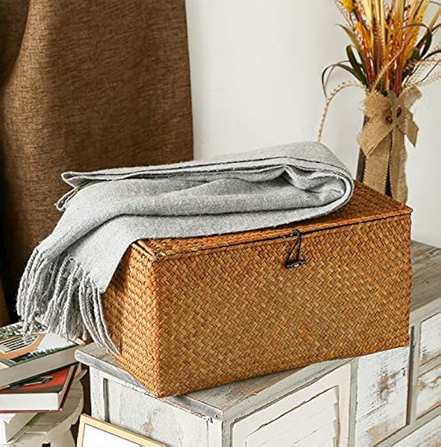 DOKOT Rectangular Handwoven Seagrass Storage Basket with Lid for Shelves and Home Organizer Bin, (M (12x7x6H), Brown)