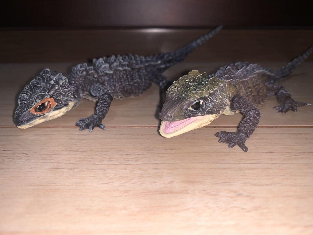 Amazon | いきもの大図鑑 アカメカブトトカゲ ガチャ ガチャポン