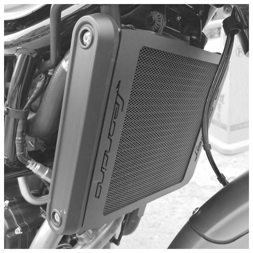 Motorrad-Zubehör: Kühlerschutzgitter/Kühlerabdeckung für Leoncino 500 (BJ500)