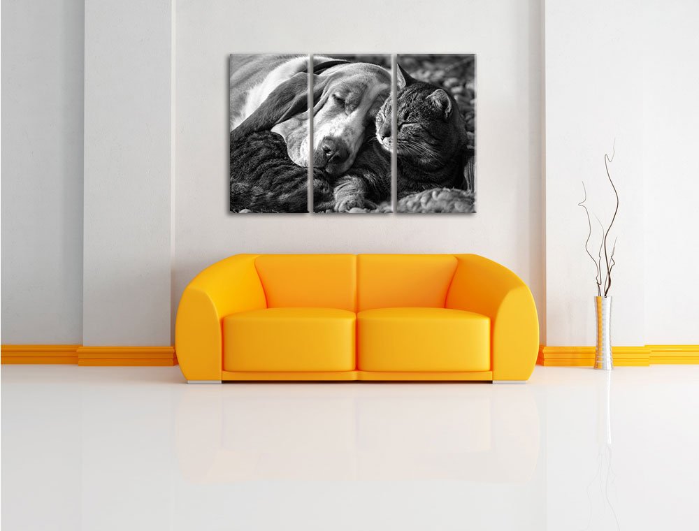 Quadro su tela, Gatto e cane sul ring - 100x70 | Leroy Merlin