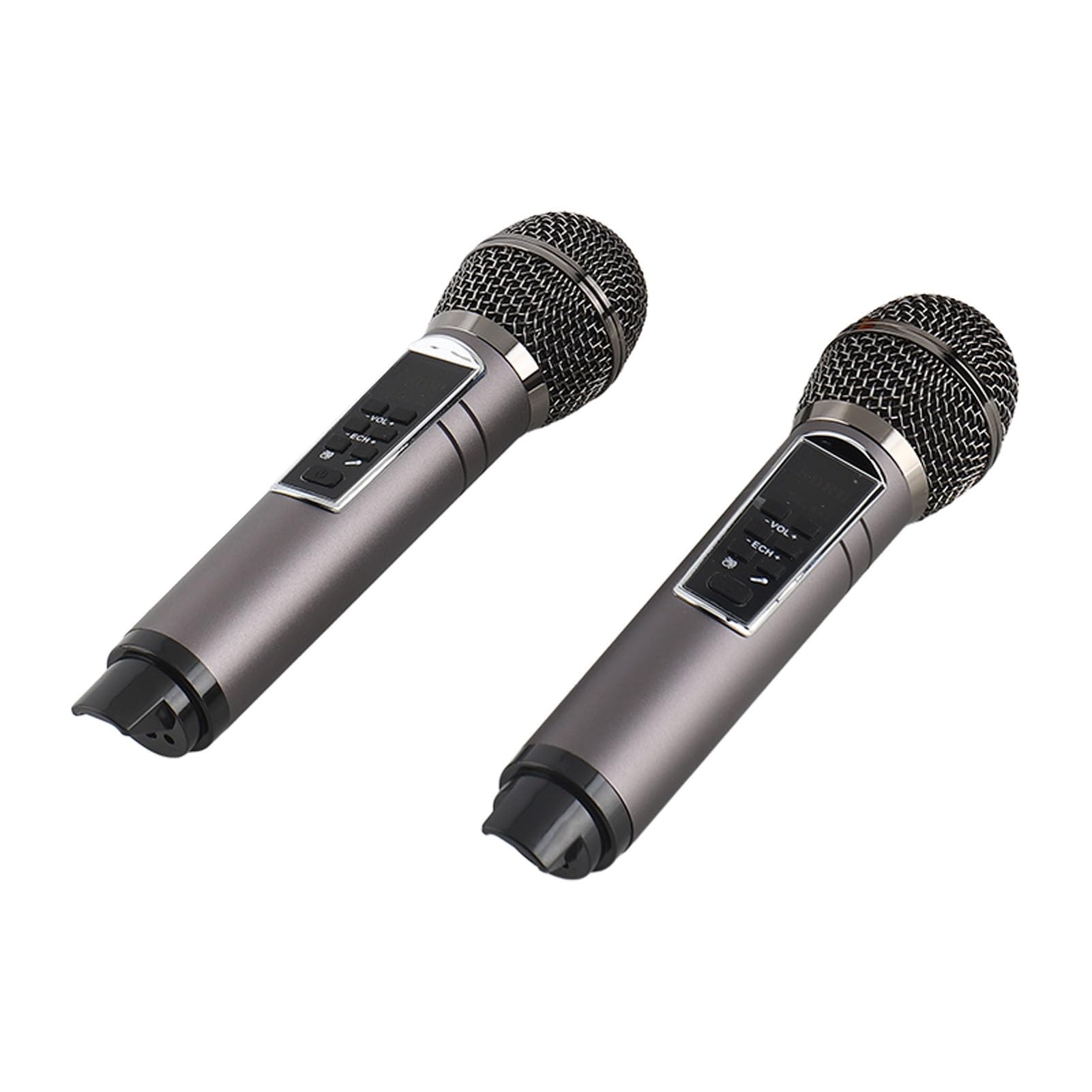 POENVFPO Famiglia Karaoke -Speaker Double Handhell ​​-Mikrofon Stereo per attività di Intrattenimento All'aperto a Casa (#2)