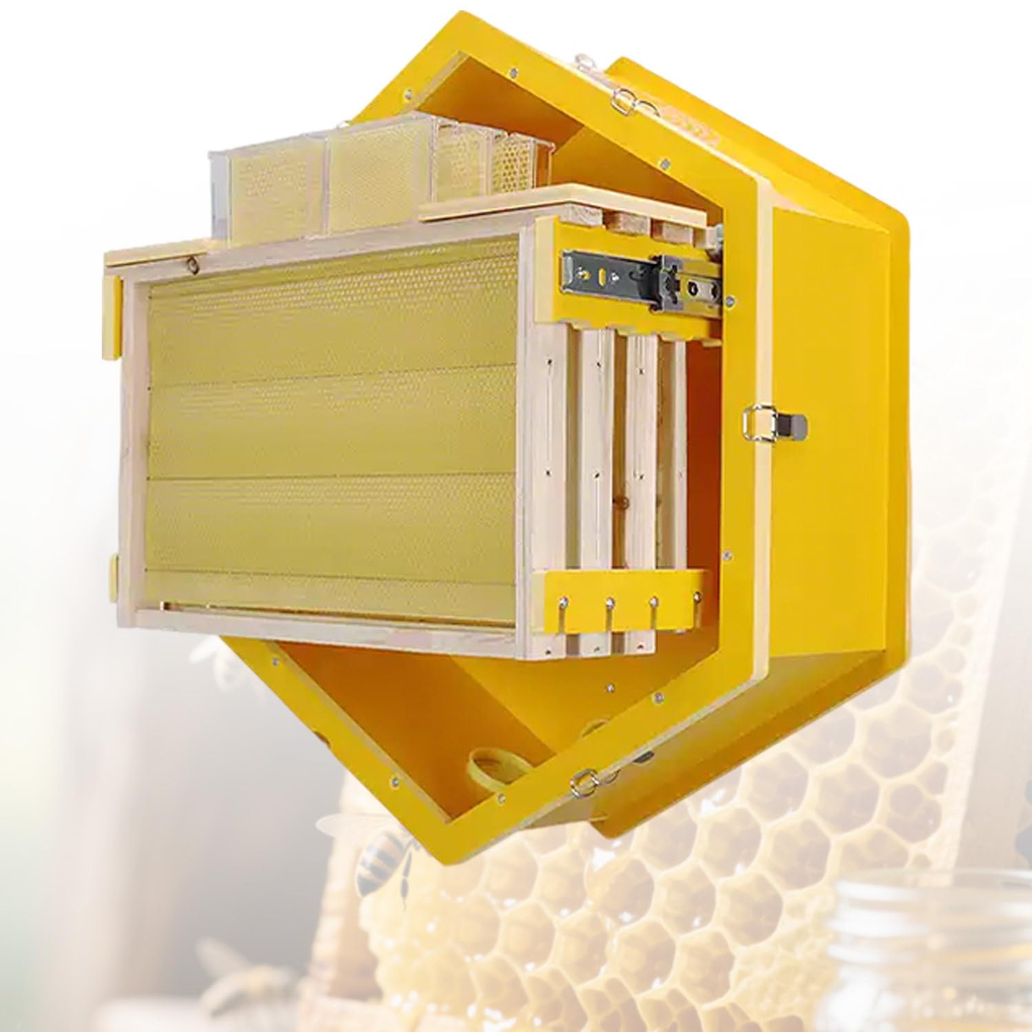 Kit per l'osservazione delle api con finestra in acrilico, set iniziale per gli appassionati di apicoltura, attrezzatura educativa per apiario da cortile
