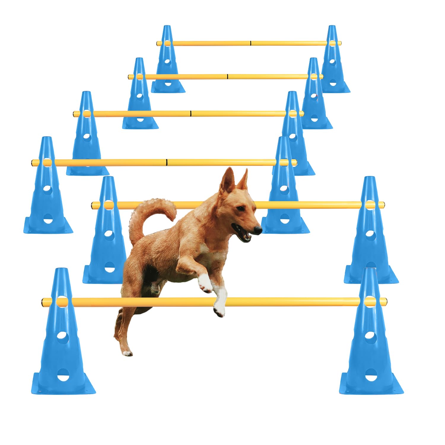 TNZMART Dog Agility Hurdle Cones Pet Jump Training Set Dog Agility Course Backyard Set Adjustable Obstacle Training Set (Blue, 6 Sets)