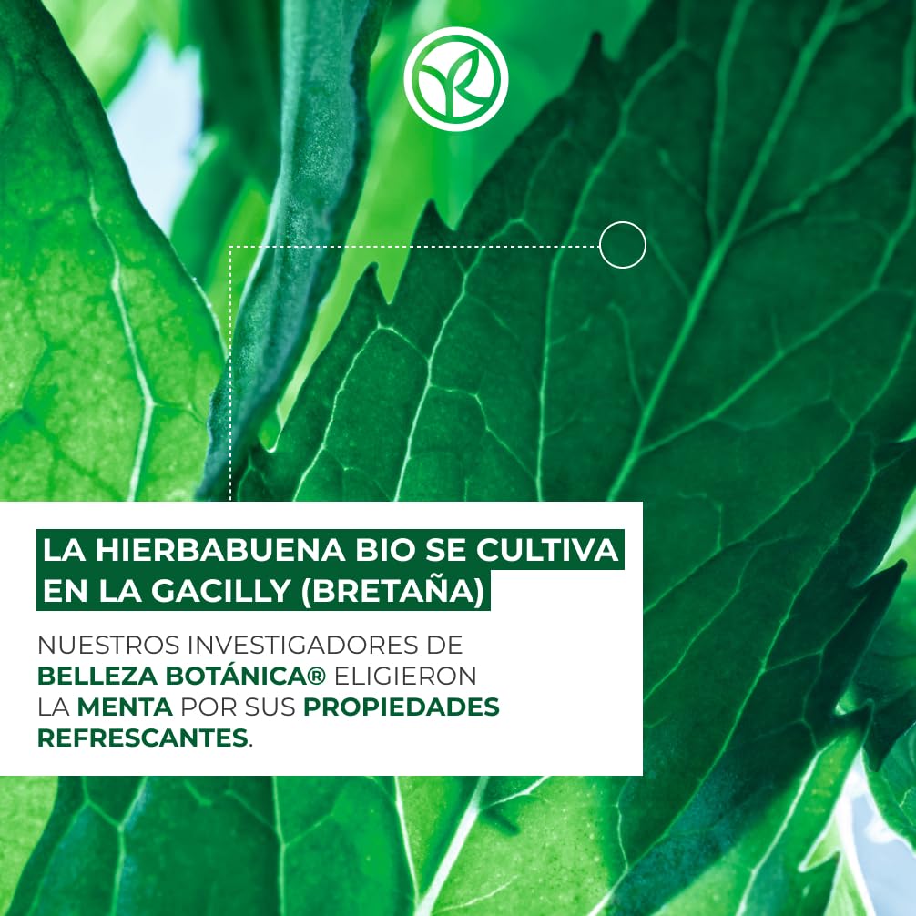 Yves Rocher PURE MENTHE - Gel Limpiador - Limpia la piel y purifica los poros - Elimina impurezas, maquillaje y exceso de sebo - 125 ml
