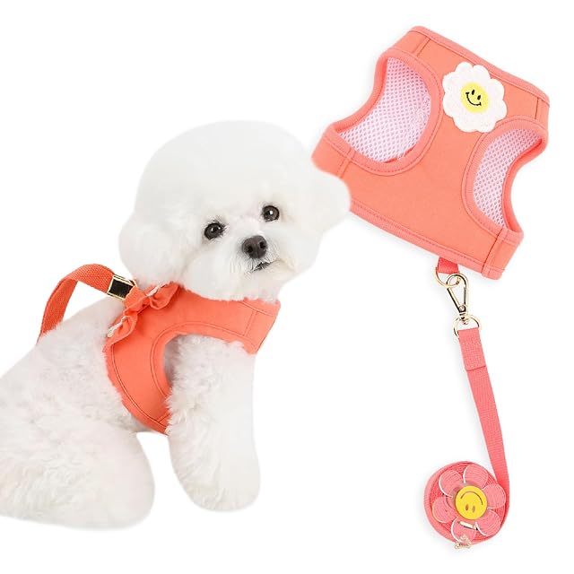 Its Dog & Kangachi - Arnés Daisy Margarita con Correa, Arnes para Perros, Arnes para Vestir Moderno…