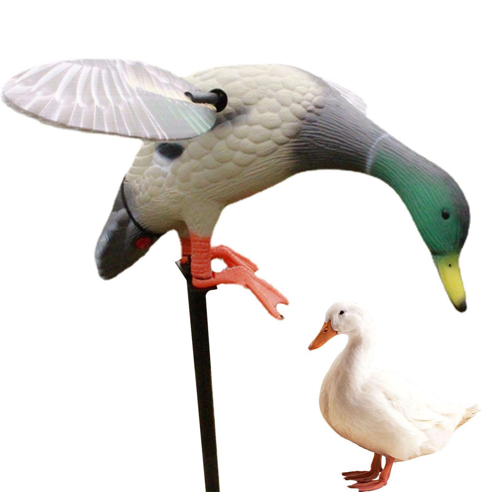 Motion Duck Lockvogel – Spinnings Wing Duck | Stockente Spinnings Wing | Flexible Lockvogel | Fernbedienung Elektrische Jagd Enten Lockvogel Batteriebetriebenes Setup für Wasservögel Jagd Outdoor