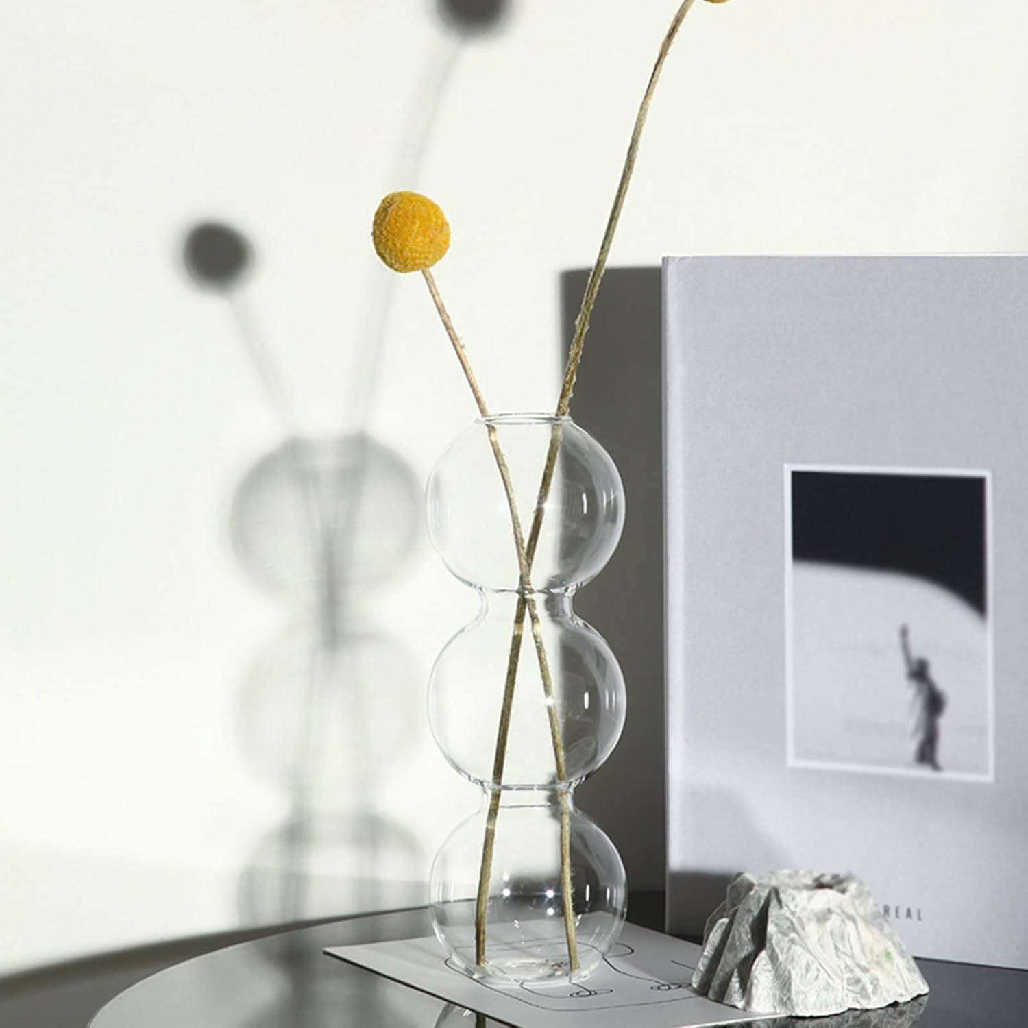 Clear Glass Bubble Vase, Ball Bud Vase Modern Art Hydroponic Vase