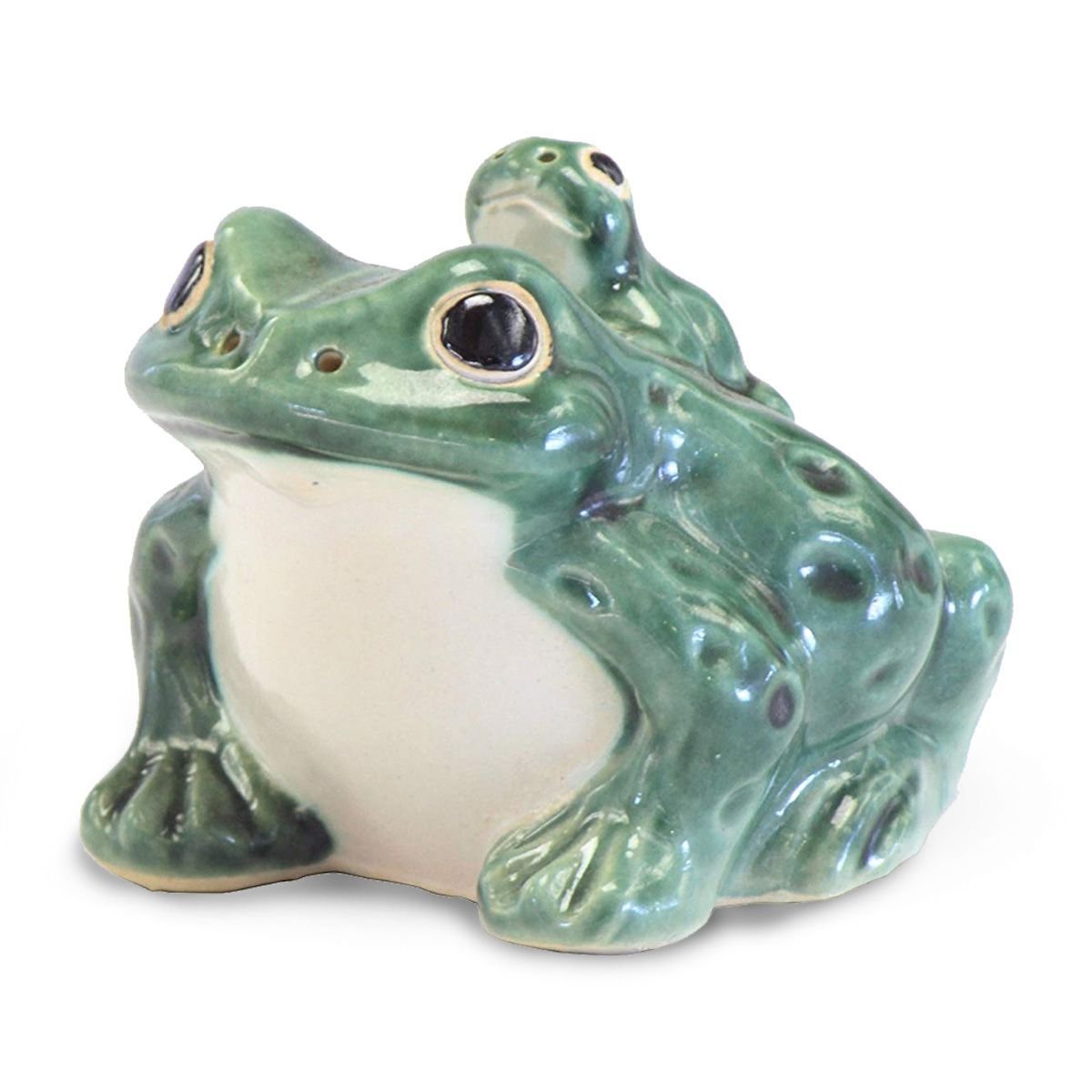 舞台FROGS Black-spotted Frog & Schlegel's Tree Frog & Tree Frogs