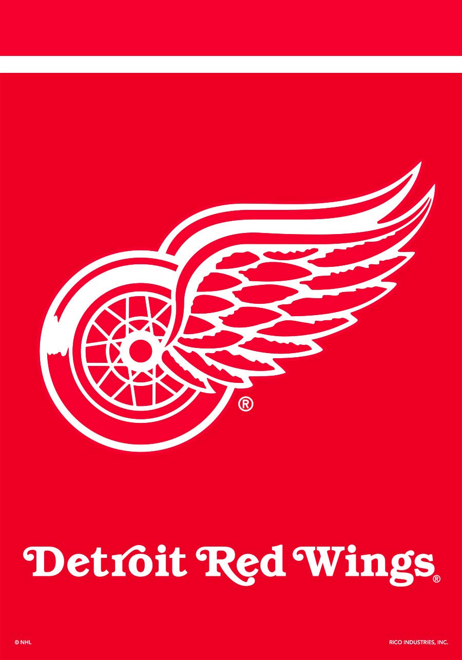 Amazon.com : Detroit Red Wings House Flag Hockey Licensed 28