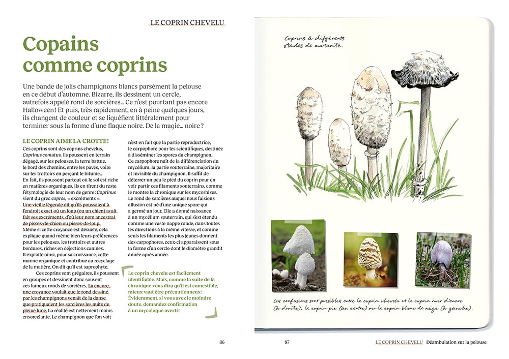 Le doryphore n'aime que les patates - 60 chroniques de végétaux, d'insectes et autres petites bestioles du jardin