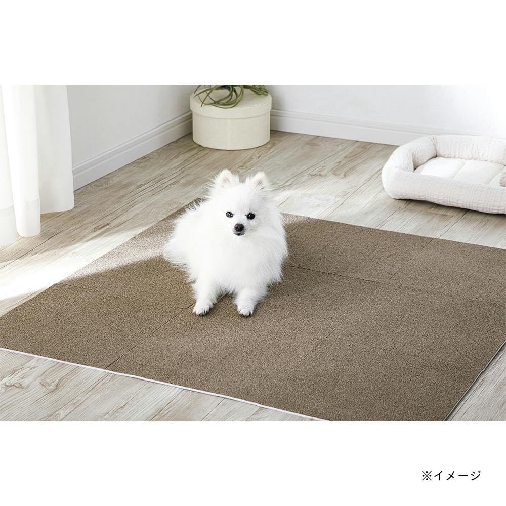 Amazon.co.jp: カインズ(CAINZ) 菌や臭いを防ぐ洗える吸着マット＆pet