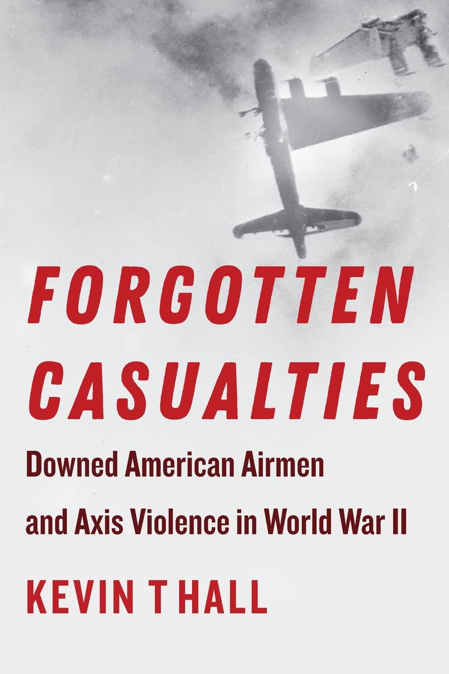 Buy Casualties Downed American Airmen and Axis Violence in