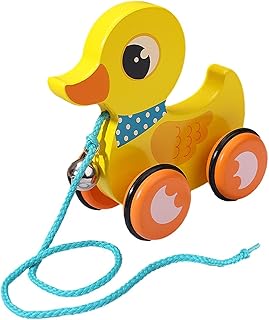 Handmade Wooden Pull Toy, Animal Push and Pull Along Toys, Indoor and Ou...