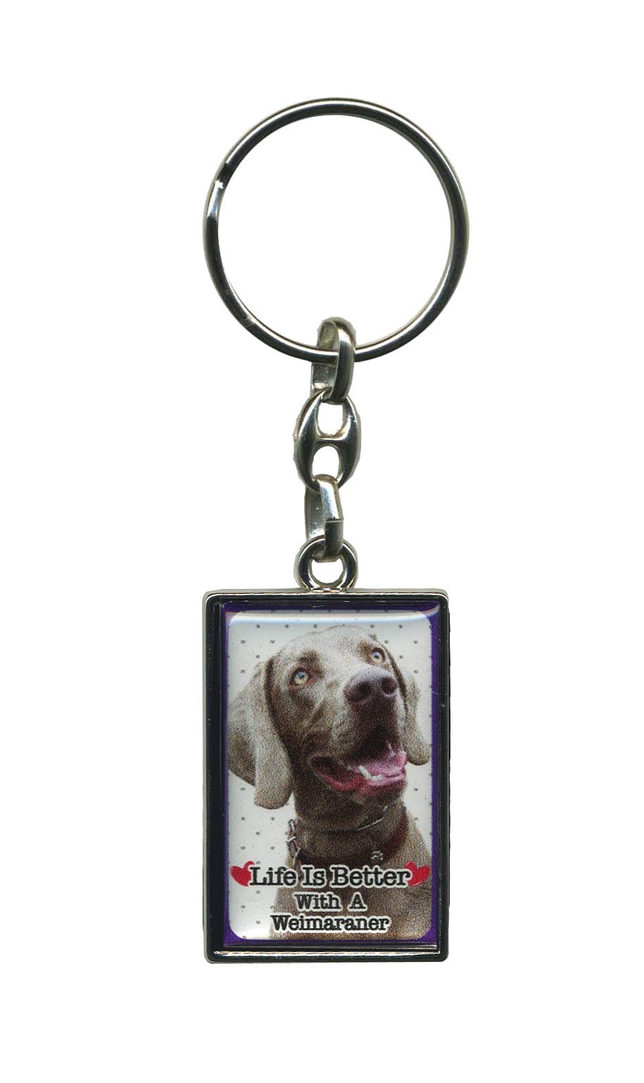 Instant Gifts Unisex Weimaraner Metal Keyring - Life Is Better With A Dog (Weimaraner)