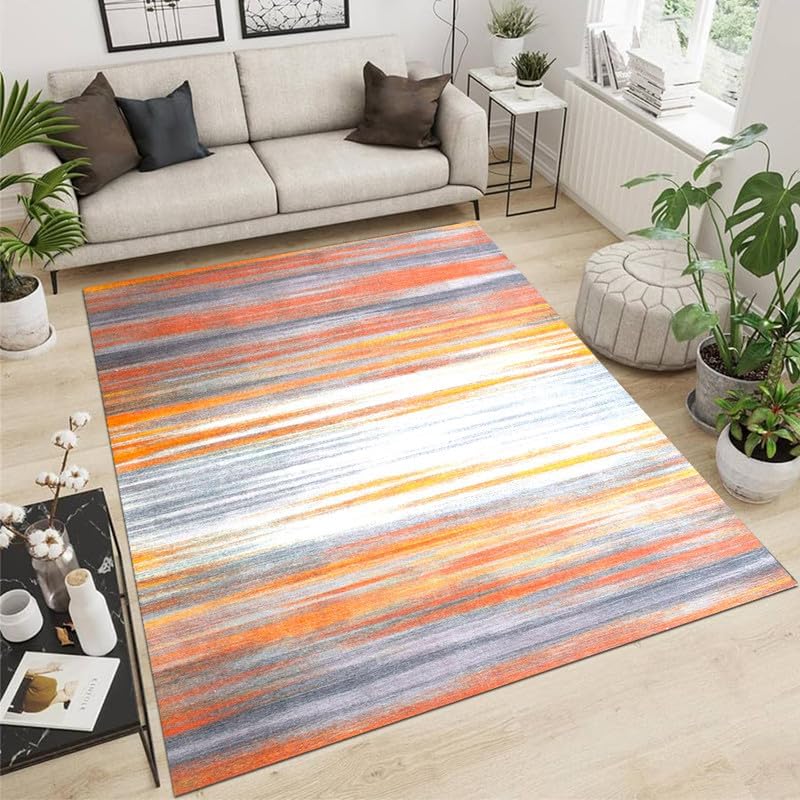 Petgrow Moroccan Soft Area Rug for Living Room 2FTX3FT,Custom Size Non Slip Rug for Dinning Room Bedroom Floor Mat Carpet,Machine Washable Indoor Vintage Runner Rug Mat