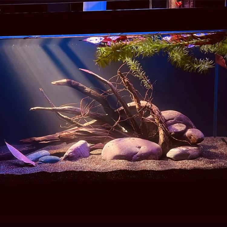 Image of AWXZOM Aquarium Driftwood Centerpiece Aquarium Landscape, Handcrafted Fish Tank hardscape Landscape (Thorn Forest)